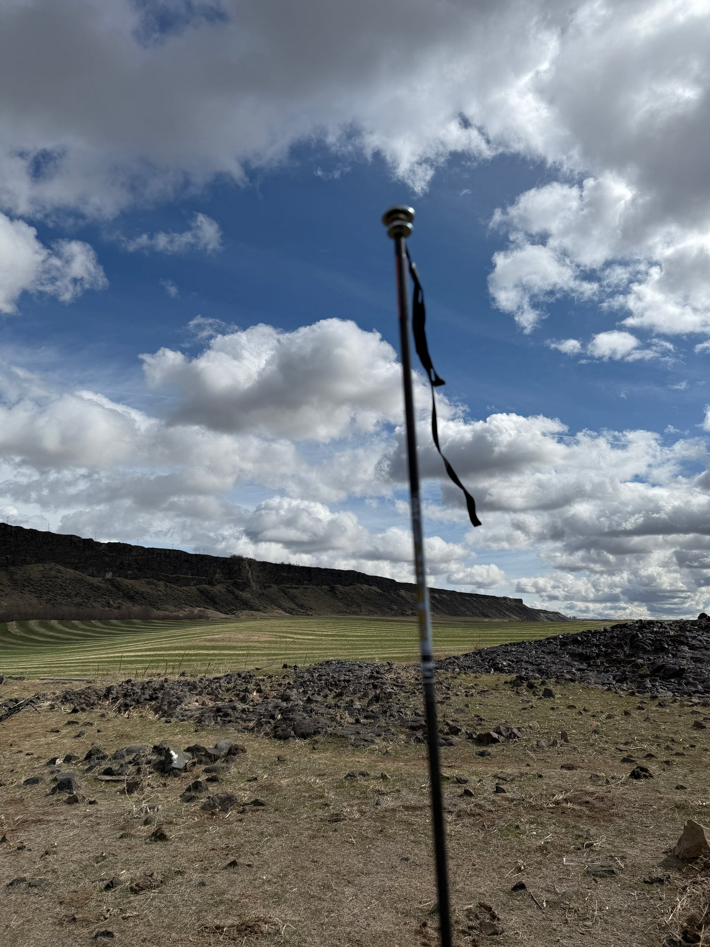 Wind flag