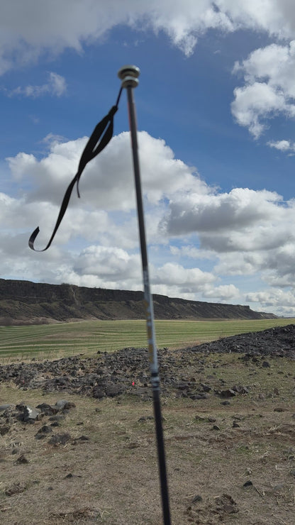 Wind flag